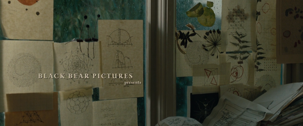 the imitation game alan turing phyllotaxis morphogenesis